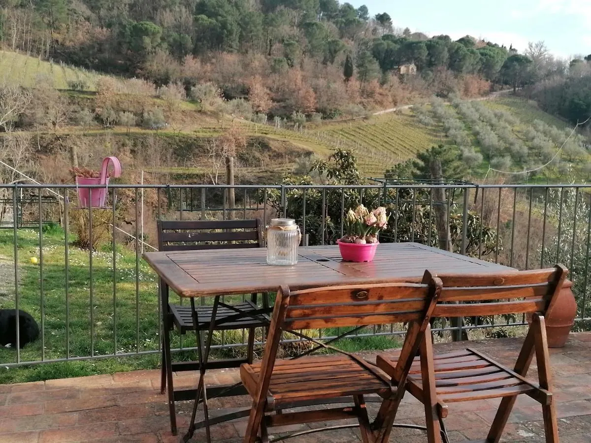 Farm stay Agriturismo Poggio All'Olmo Villa Greve in Chianti
