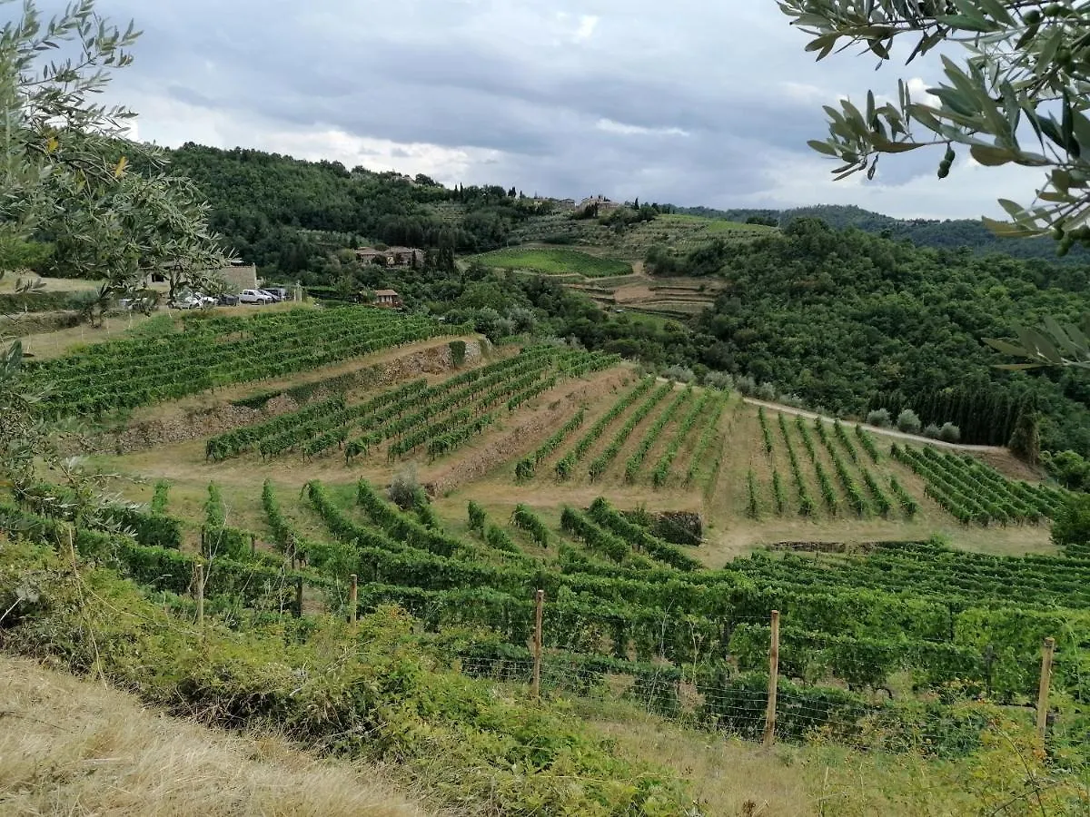 Agriturismo Poggio All'Olmo Villa Greve in Chianti 0*,  Italy