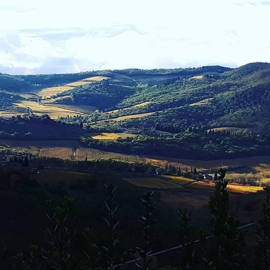 Farm stay Agriturismo Poggio All'Olmo Villa Greve in Chianti