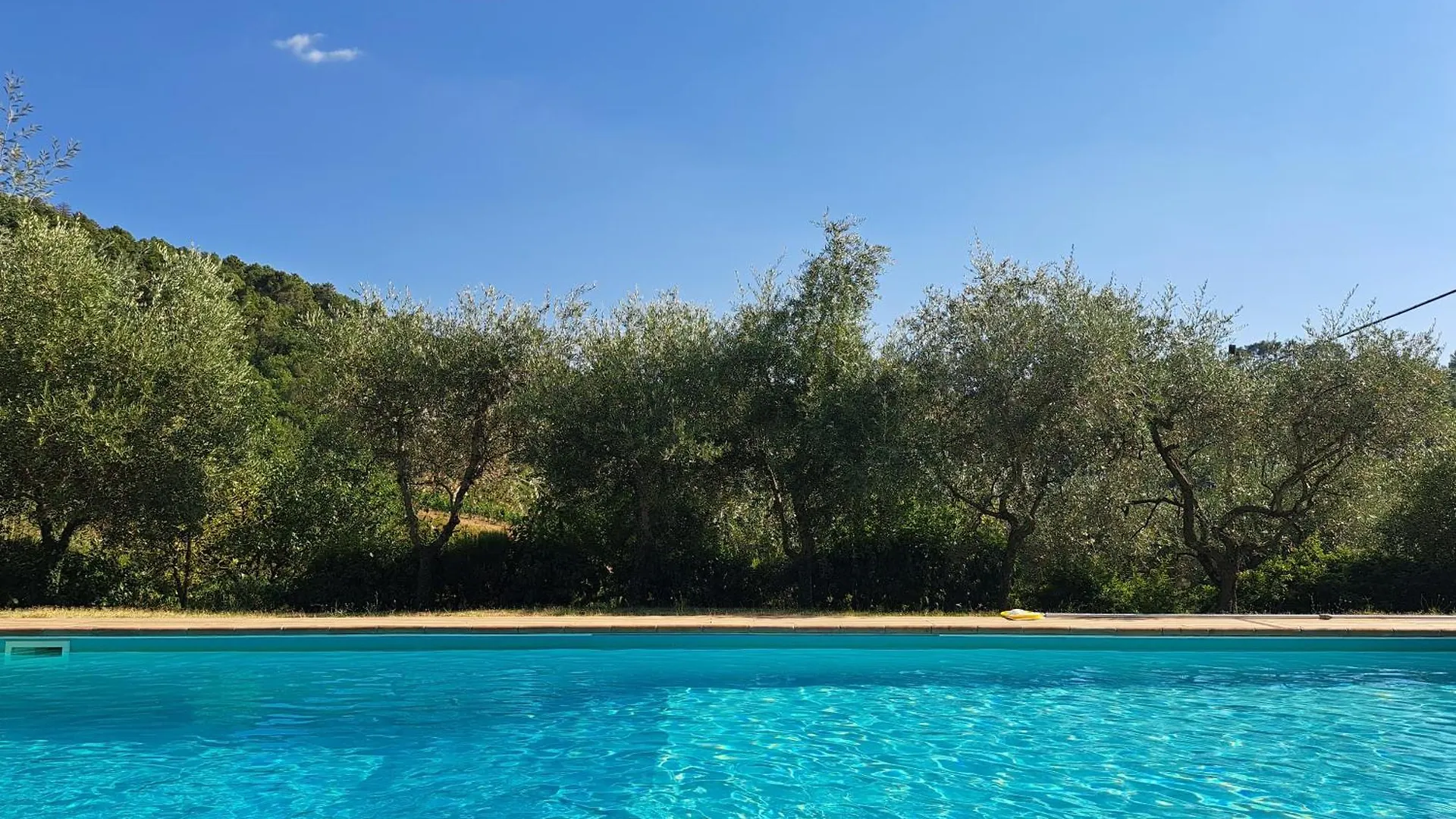 Farm stay Agriturismo Poggio All'Olmo Villa Greve in Chianti