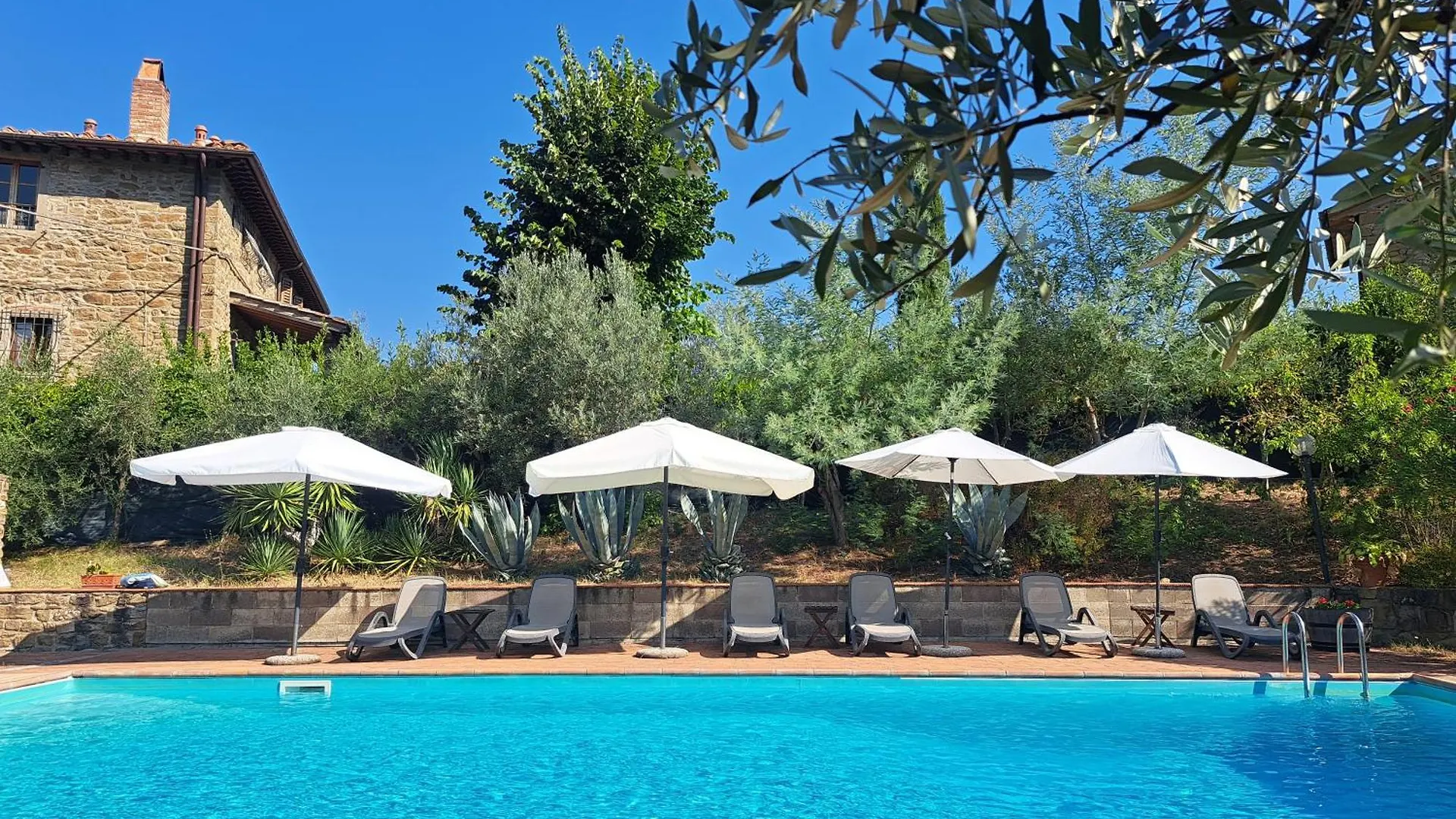 Farm stay Agriturismo Poggio All'Olmo Villa Greve in Chianti Italy