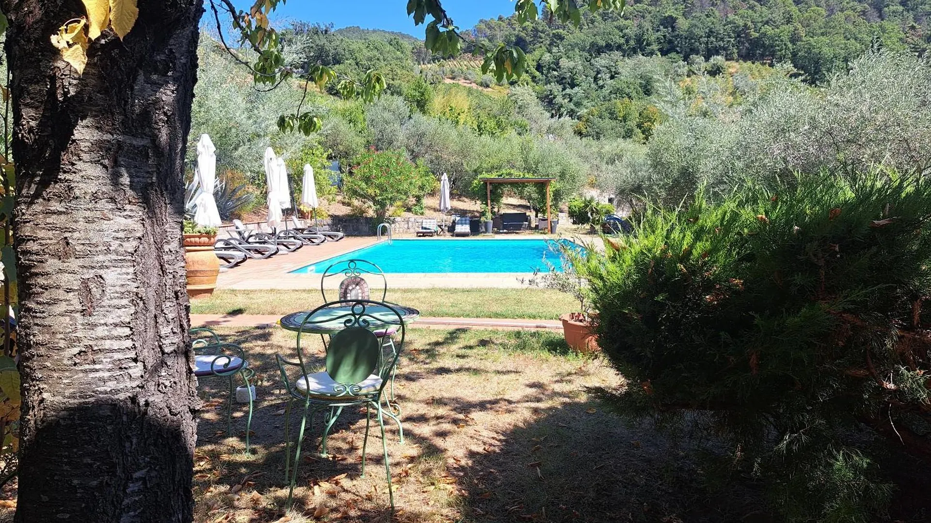 Agriturismo Poggio All'Olmo Villa Greve in Chianti