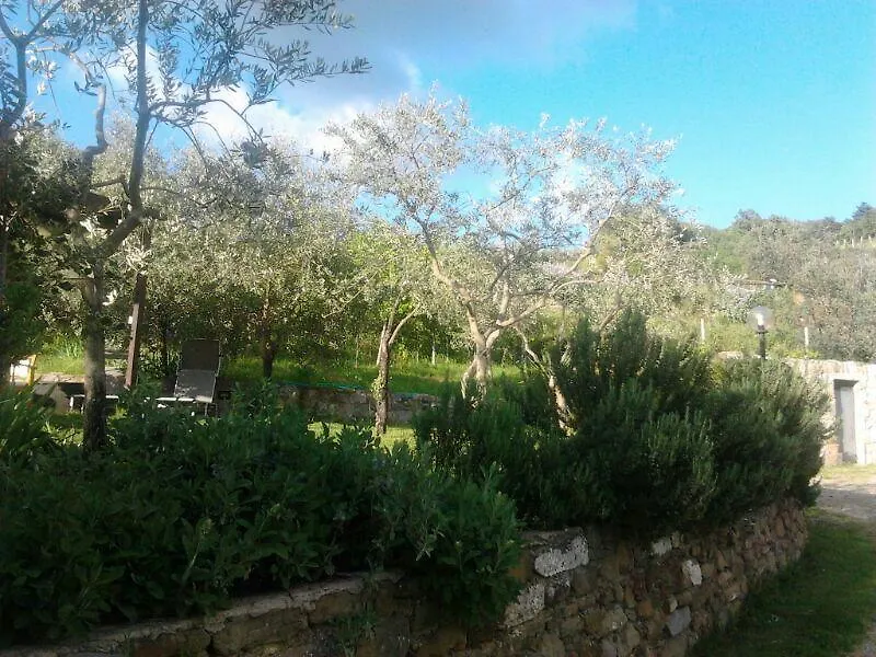 Farm stay Agriturismo Poggio All'Olmo Villa Greve in Chianti Italy