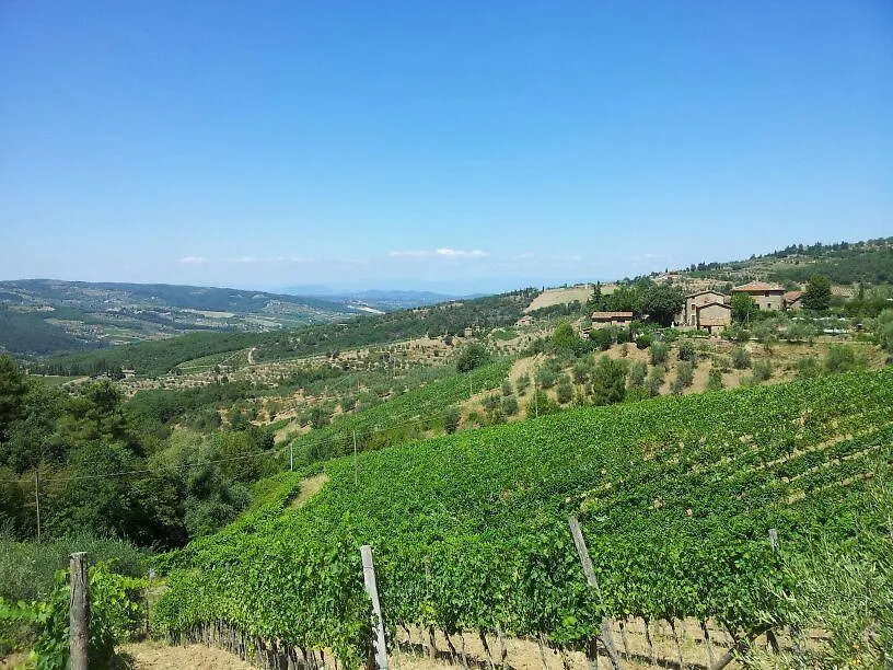 Agriturismo Poggio All'Olmo Villa Greve in Chianti Farm stay