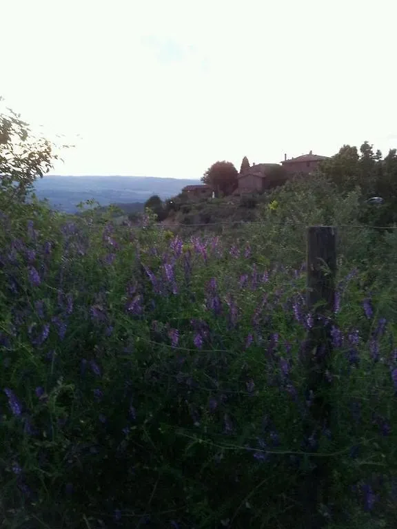 Agriturismo Poggio All'Olmo Villa Greve in Chianti Italy