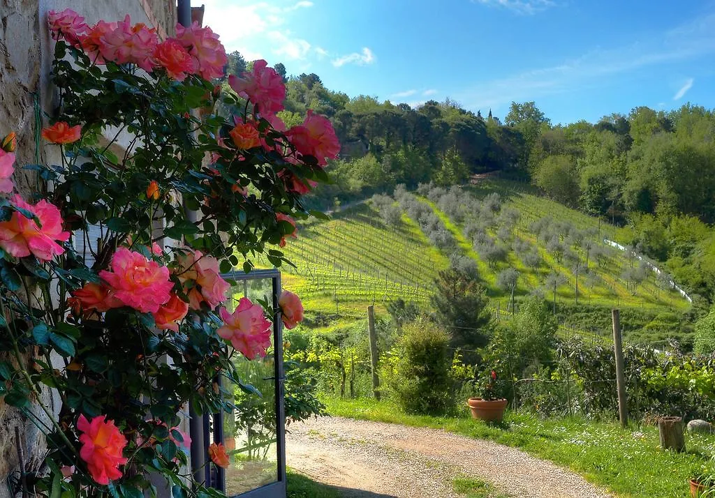 Farm stay Agriturismo Poggio All'Olmo Villa Greve in Chianti